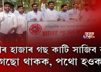 হাজাৰ হাজাৰ গছ কাটি সাজিব পথ