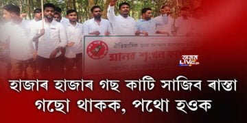 হাজাৰ হাজাৰ গছ কাটি সাজিব পথ