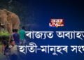 ৰাজ্যত অব্যাহত হাতী-মানুহৰ সংঘাত