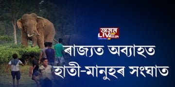 ৰাজ্যত অব্যাহত হাতী-মানুহৰ সংঘাত