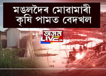 মঙলদৈৰ মোৱামাৰীত বেদখল