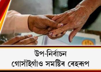 উপ-নিৰ্বাচন, গোসাঁইগাঁও সমষ্টিৰ ৰেহৰূপ