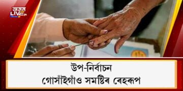 উপ-নিৰ্বাচন, গোসাঁইগাঁও সমষ্টিৰ ৰেহৰূপ