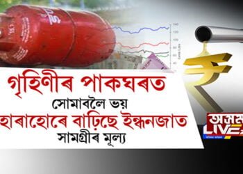 গৃহিণীৰ পাকঘৰত সোমাবলৈ ভয়, হোৰাহোৰে বাঢ়িছে ইন্ধনজাত সামগ্ৰীৰ মূল্য