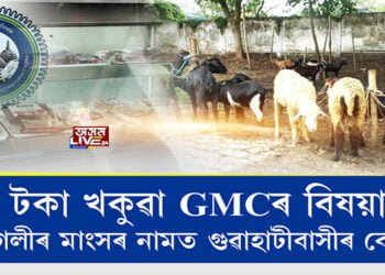 টকা খঁকুৱা GMCৰ বিষয়া, ছাগলীৰ মাংসৰ নামত গুৱাহাটীবাসীৰ বেদনা