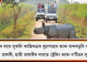 পৰ্যটকৰ বাবে মুকলি কাজিৰঙাৰ বুঢ়াপাহাৰ আৰু বান্দৰডুবি বনাঞ্চল, জিপ চাফাৰী, হাতী চাফাৰীৰ লগতে ট্ৰেকিং আৰু ব’টিঙৰ সুবিধা