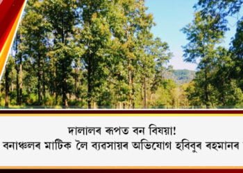 lumding-reserve-forest-broker