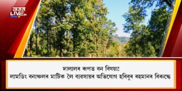lumding-reserve-forest-broker