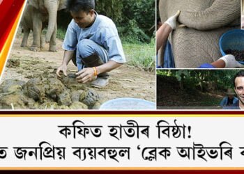 বিশ্বৰ অন্যতম ব্যয়বহুল ‘ব্লেক আইভৰি কফি’, উচ্চ গুণবিশিষ্ট এই কফি কিদৰে তৈয়াৰ কৰা হয় জাননে?