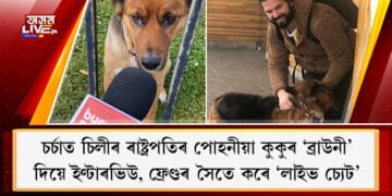 চৰ্চাত চিলীৰ ৰাষ্ট্ৰপতিৰ পোহনীয়া কুকুৰ ‘ব্ৰাউনী’, দিয়ে ইণ্টাৰভিউ, ফ্ৰেণ্ডৰ সৈতে কৰে ‘লাইভ চ্যেট’