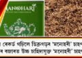 পুনৰ ৰেকৰ্ড গঢ়িলে ডিব্ৰুগড়ৰ ‘মনোহৰী’ চাহপাতে, বিশ্বৰ বজাৰত সৰ্বাধিক দৰত নিলাম ‘মনোহৰী গ’ল্ড টী’