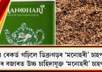 পুনৰ ৰেকৰ্ড গঢ়িলে ডিব্ৰুগড়ৰ ‘মনোহৰী’ চাহপাতে, বিশ্বৰ বজাৰত সৰ্বাধিক দৰত নিলাম ‘মনোহৰী গ’ল্ড টী’