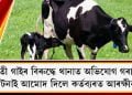 খীৰতী গাইৰ বিৰুদ্ধে থানাত অভিযোগ গৰাকীৰ, ঘটনাই আমোদ দিলে কৰ্তব্যৰত আৰক্ষীক