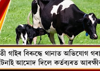 খীৰতী গাইৰ বিৰুদ্ধে থানাত অভিযোগ গৰাকীৰ, ঘটনাই আমোদ দিলে কৰ্তব্যৰত আৰক্ষীক