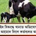 খীৰতী গাইৰ বিৰুদ্ধে থানাত অভিযোগ গৰাকীৰ, ঘটনাই আমোদ দিলে কৰ্তব্যৰত আৰক্ষীক