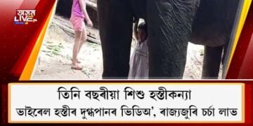 তিনি বছৰীয়া শিশু হস্তীকন্যা : ভাইৰেল হস্তীৰ দুগ্ধপানৰ ভিডিঅ’, ৰাজ্যজুৰি চৰ্চা লাভ