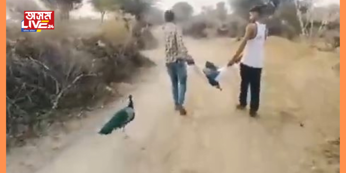 এখন বুকু ভাঙি যোৱা ছবি। দৃশ্য দেখি প্ৰতিজন লোক আৱেগিক