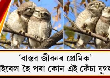 ‘বাস্তৱ জীৱনৰ প্ৰেমিক’, ভাইৰেল হৈ পৰা কোন এই প্ৰেমিক ফেঁচা যুগল?
