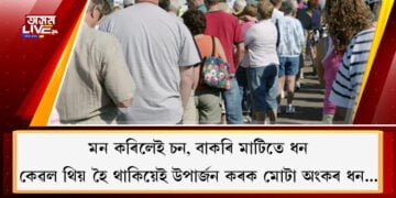 মন কৰিলেই চন, বাকৰি মাটিতে ধন, কেৱল থিয় হৈ থাকিয়েই উপাৰ্জন কৰক মোটা অংকৰ ধন…