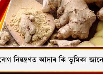 হৃদ ৰোগ নিয়ন্ত্ৰণত আদাৰ কি ভূমিকা জানেনে?
