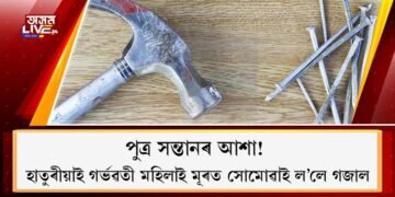 পুত্ৰ সন্তানৰ আশা! হাতুৰীয়াই গৰ্ভৱতী মহিলাই মূৰত সোমোৱাই ল’লে গজাল  