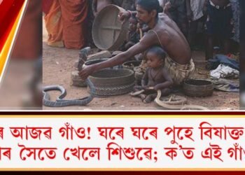 দেশৰ আজৱ গাঁও! ঘৰে ঘৰে পুহে বিষাক্ত সাপ, সাপৰ সৈতে খেলে শিশুৱে; ক’ত এই গাঁও?