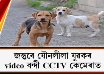 এইজন জীৱশ্ৰেষ্ঠ মানুহেইনে! পথৰ কুকুৰকো নেৰিলে…