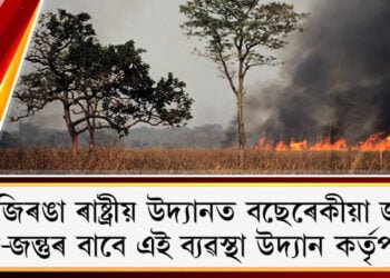 কাজিৰঙা ৰাষ্ট্ৰীয় উদ্যানত কন্ট্ৰ’ল বাৰ্ণিং, জীৱ-জন্তুৰ বাবে এই ব্যৱস্থা উদ্যান কৰ্তৃপক্ষৰ
