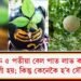 ৪ আৰু ৫ পতীয়া বেল পাত লাভ কৰিলে সৌভাগ্যশালী হয়; কিন্তু কেনেকৈ হ’ব সৌভাগ্যশালী?