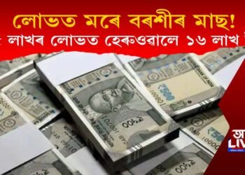 লোভত মৰিল বৰশীৰ মাছ! ৭.৫ লাখ টকাৰ লোভত হেৰুওৱালে ১৬ লাখ টকা