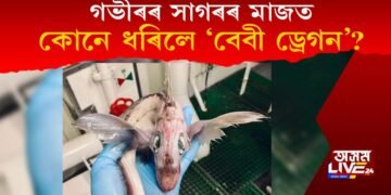 গভীৰৰ সাগৰৰ মাজত কোনে ধৰিলে বেবী ড্ৰেগন?