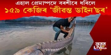 এহাল প্ৰেমাষ্পদে বৰশীৰে ধৰিলে ১৬৯ কি-গ্ৰা.ৰ পৃথিৱীৰ ‘জীৱন্ত ডাইন’ছৰ