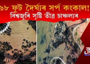 বিশ্বজুৰি তীব্ৰ চাঞ্চল্যৰ সৃষ্টি : ৯৮ ফুট দৈৰ্ঘ্যৰ সৰ্পৰ কংকাল আৱিস্কাৰ!