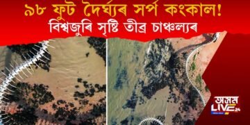 বিশ্বজুৰি তীব্ৰ চাঞ্চল্যৰ সৃষ্টি : ৯৮ ফুট দৈৰ্ঘ্যৰ সৰ্পৰ কংকাল আৱিস্কাৰ!