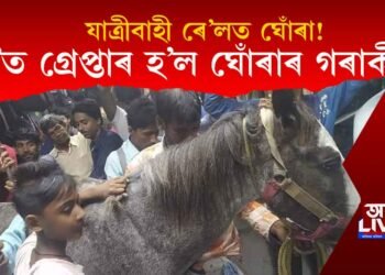 যাত্ৰীবাহী ৰে’লত ঘোঁৰা উঠাই গ্ৰেপ্তাৰ হ’ল এজন লোক, ক’ত?