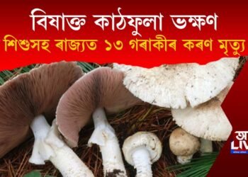 বিষাক্ত কাঠফুলা ভক্ষণ : ৰাজ্যত শিশুসহ ১৩ গৰাকী লোকৰ কৰুণ মৃত্যু
