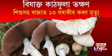 বিষাক্ত কাঠফুলা ভক্ষণ : ৰাজ্যত শিশুসহ ১৩ গৰাকী লোকৰ কৰুণ মৃত্যু