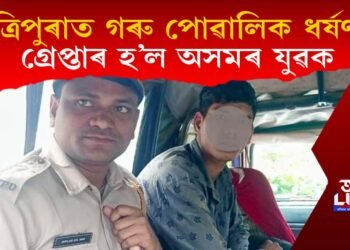 জঘন্য কাণ্ড! গৰু পোৱালিক ধৰ্ষণ কৰি  ত্ৰিপুৰাত গ্ৰেপ্তাৰ হ’ল অসমৰ যুৱক