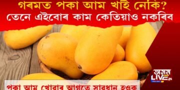 পকা আম খোৱাৰ আগতে এইবোৰ কৰিবলৈ কেতিয়াও পাহৰি নাযাব