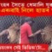 সিংহৰ সৈতে ল’ৰা-ধেমালি! হাতৰ আঙুলি এৰুৱাই নিলে সিংহই, চাওক ভিডিঅ’