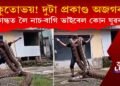 অকুতোভয়! প্ৰকাণ্ড দুই অজগৰ কান্ধত লৈ নাচি-বাগি ভাইৰেল হ’ল কোন যুৱক?