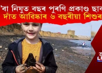 কে’বা নিযুত পূৰ্বৰ বৃহদাকাৰ ছাৰ্কৰ দাঁত আৱিষ্কাৰ এটি ৬ বছৰীয়া শিশুৰ