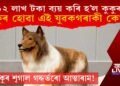 কুকুৰ হ’বলৈ ১২ লাখ টকা ব্যয় এক যুৱকৰ! কুকুৰ হোৱা এই যুৱক কোন?