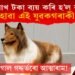 কুকুৰ হ’বলৈ ১২ লাখ টকা ব্যয় এক যুৱকৰ! কুকুৰ হোৱা এই যুৱক কোন?