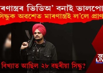 মাত্ৰ ২৮ বছৰতে হত্যাৰ বলি সিদ্ধু মুছৱালা : কিয় বিখ্যাত আছিল সিদ্ধু?