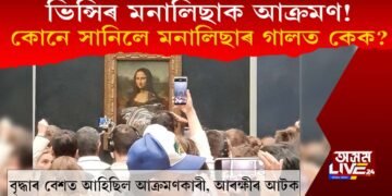 ভিন্সিৰ মনালিছাক আক্ৰমণ! কোনে সানিলে মনালিছাৰ গালত কেক?