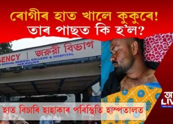 ৰোগীৰ হাত খালে কুকুৰে! তাৰ পাছত কি হ’ল?