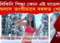 বিকিনি পিন্ধা কোন এই মডেল?  লয়লাস ভংগীমাৰে বৰফত খোজ