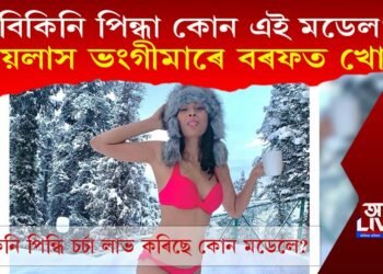 বিকিনি পিন্ধা কোন এই মডেল?  লয়লাস ভংগীমাৰে বৰফত খোজ