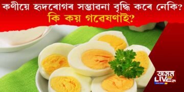 কণীয়ে হৃদৰোগৰ সম্ভাৱনা বৃদ্ধি কৰে নেকি? কি কয় গৱেষণাই?